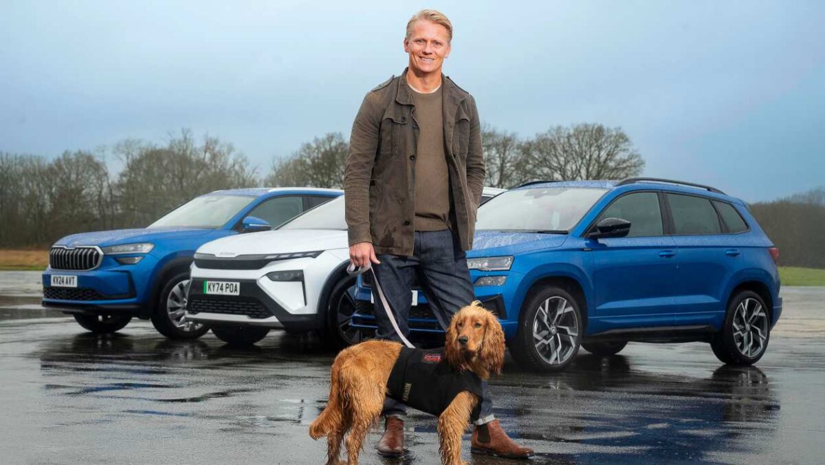 Les chiens préfèrent officiellement les voitures électriques